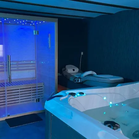 Casawellness Amethyste Ou Jaspe Ocean Avec Jacuzzi Interieur Floreffe